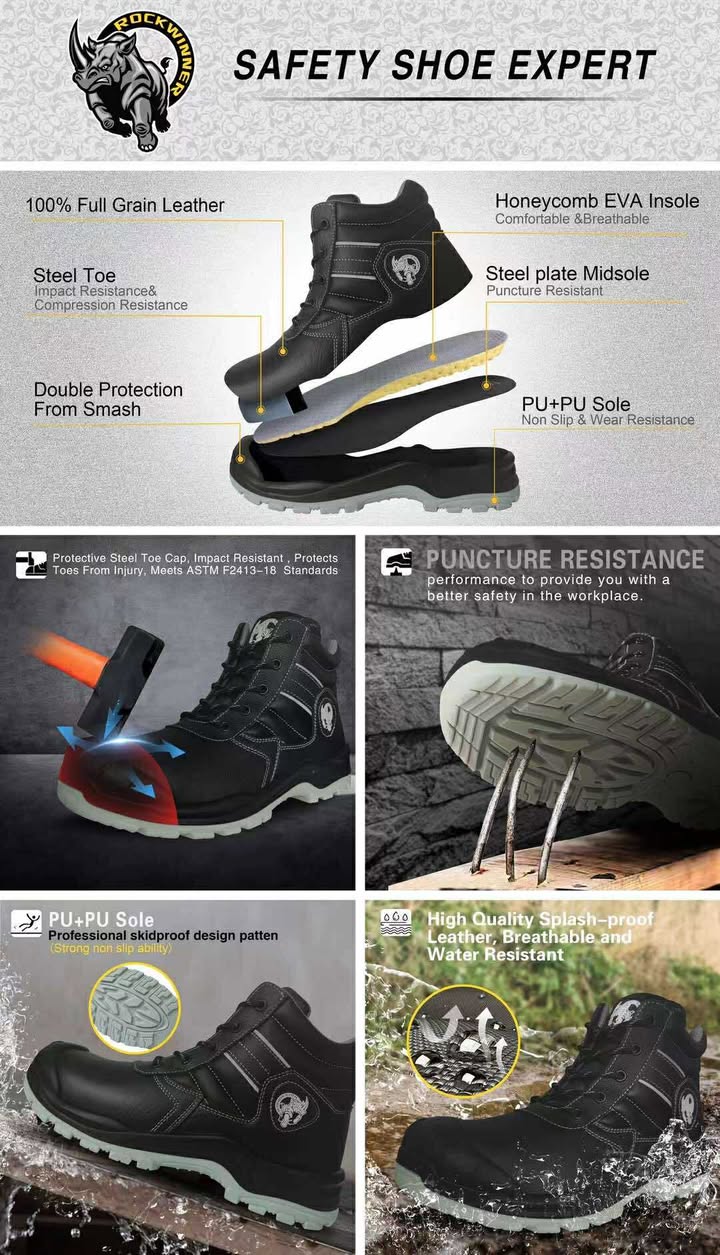 صورة كتالوج 11